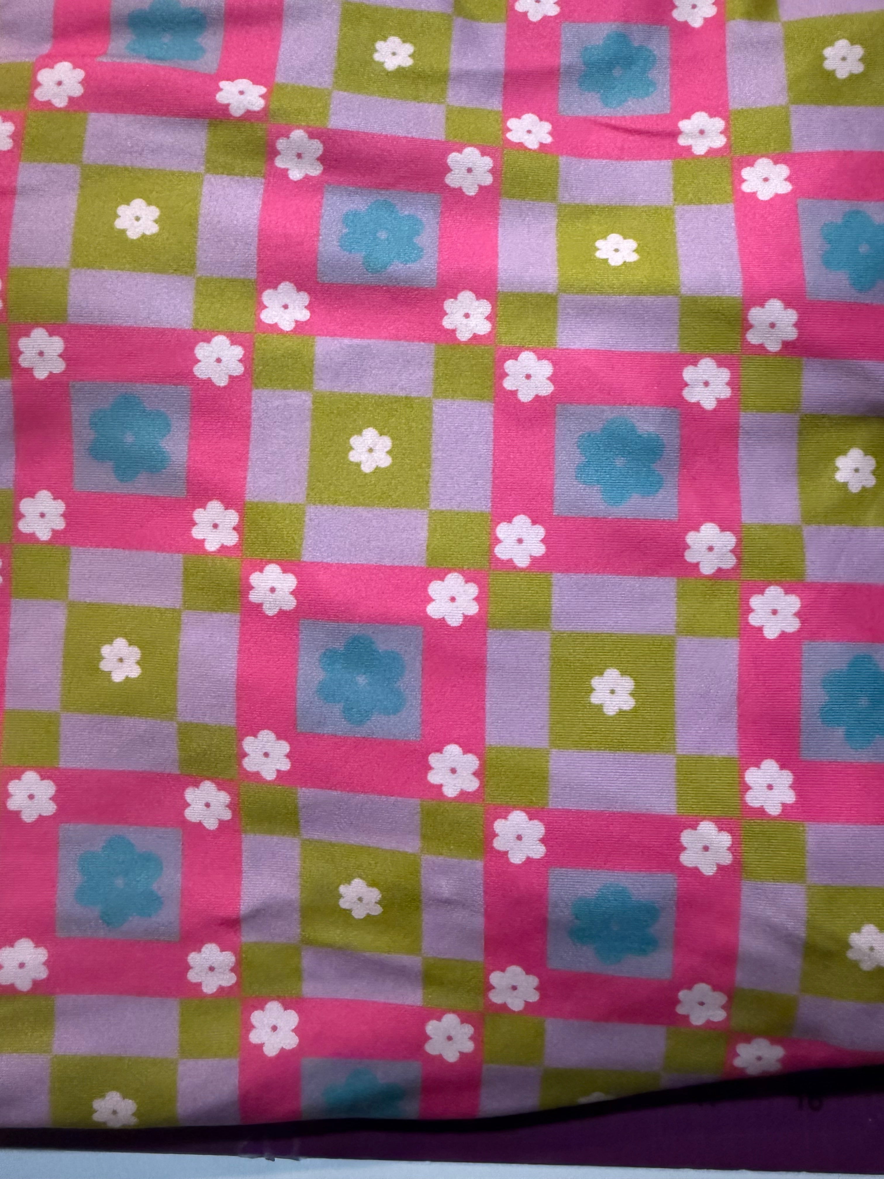 Spring daisy