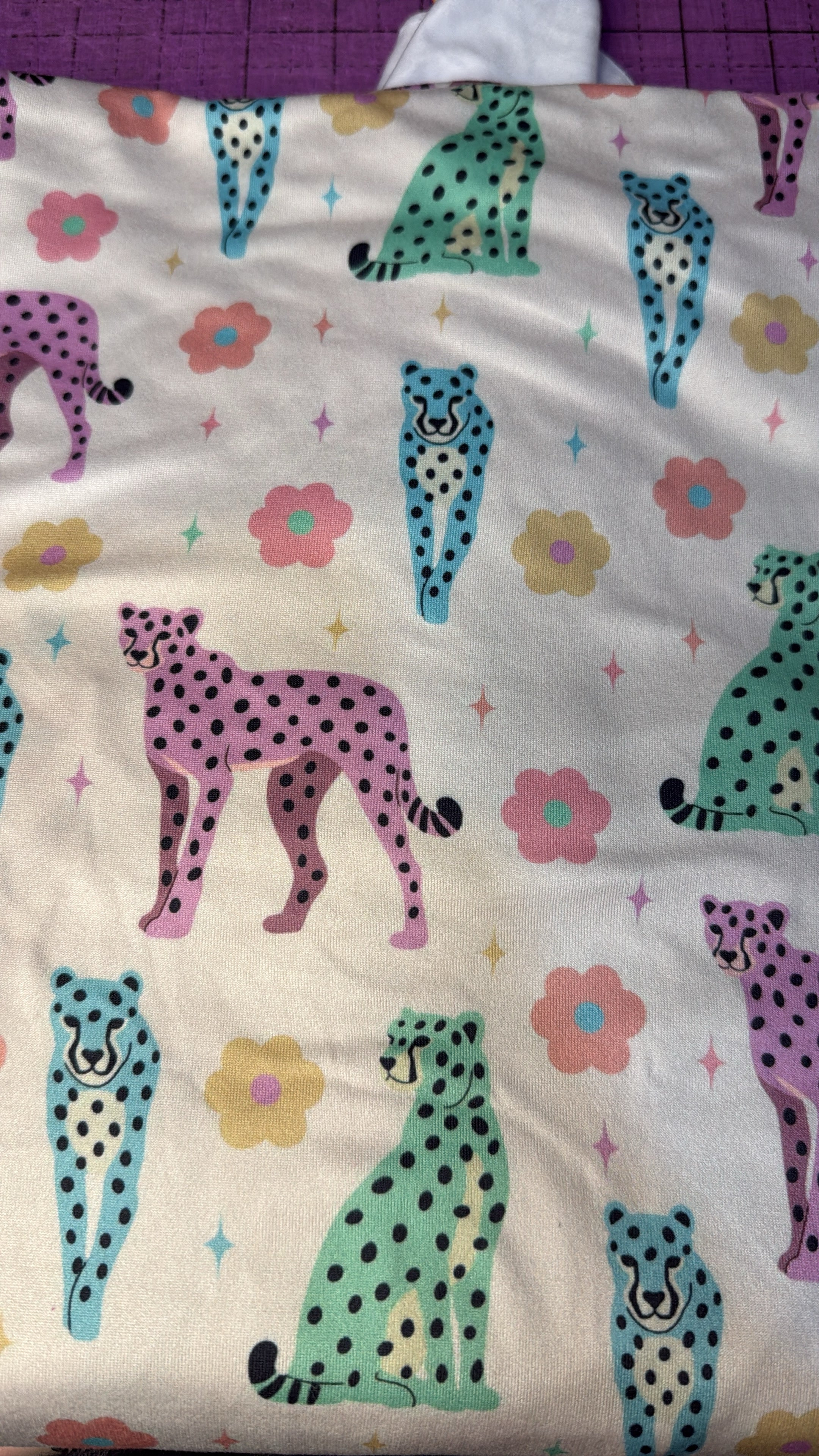 Colorful cheetahs