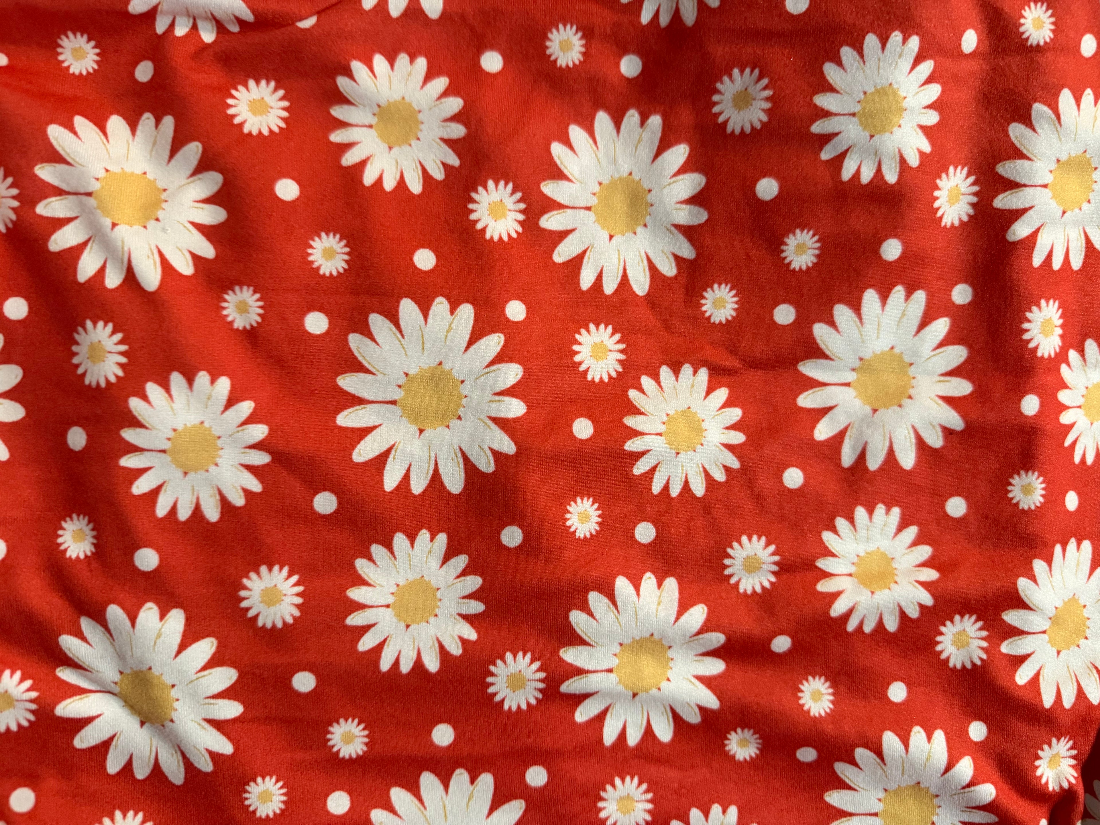 Red daisy