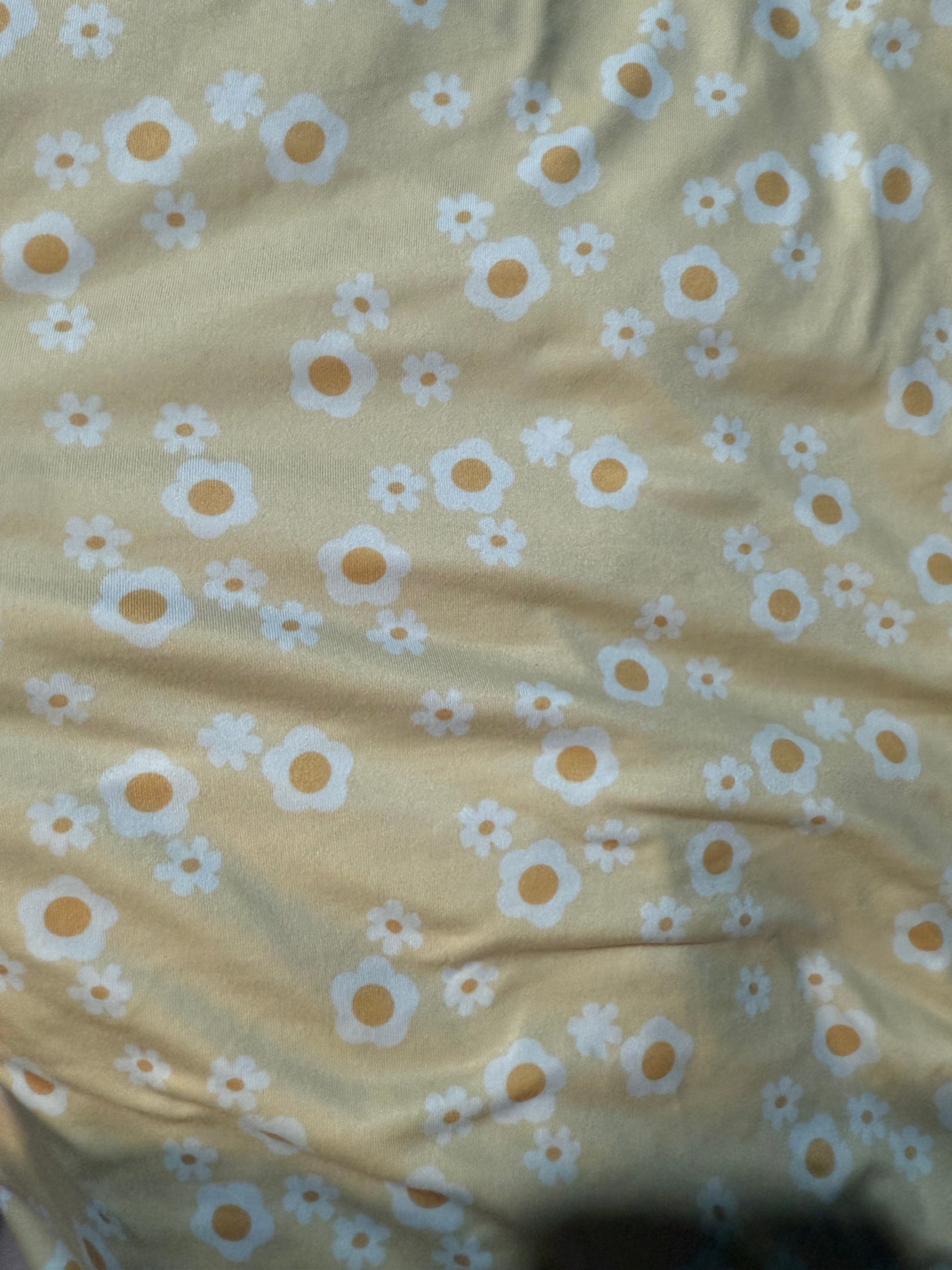 Yellow daisy